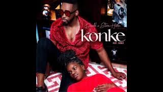 Donald & Starr Healer - Konke (feat. Lesax)