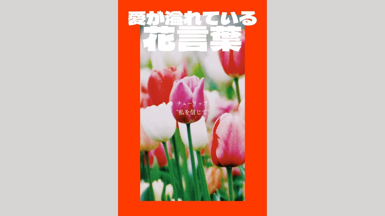 大切な人に贈りたい 愛が溢れている花言葉 結婚式 挙式 花言葉シリーズ はなよめになるちゃんねる Youtube