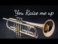You Raise me up (Trumpet)