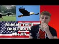 British Guy Reacts to 25 U.S. Animals You Won't Find Anywhere Else