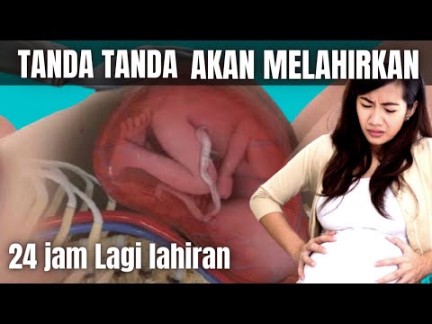 Tanda-Tanda Melahirkan Sudah Dekat, 24 Jam Lagi Akan Melahirkan