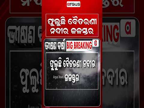 ଫୁଲୁଛି ବୈତରଣୀ ନଦୀ... | Baitarani & Salandi Cross Danger Marks: Bridges Submerged in Bhadrak
