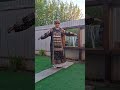 Штапельное платье "Березка" #мода #модныепоказы #стиль #мода #модныепоказы #стиль