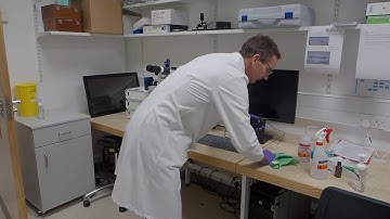 Cleaning procedure of an upright microscope before use.