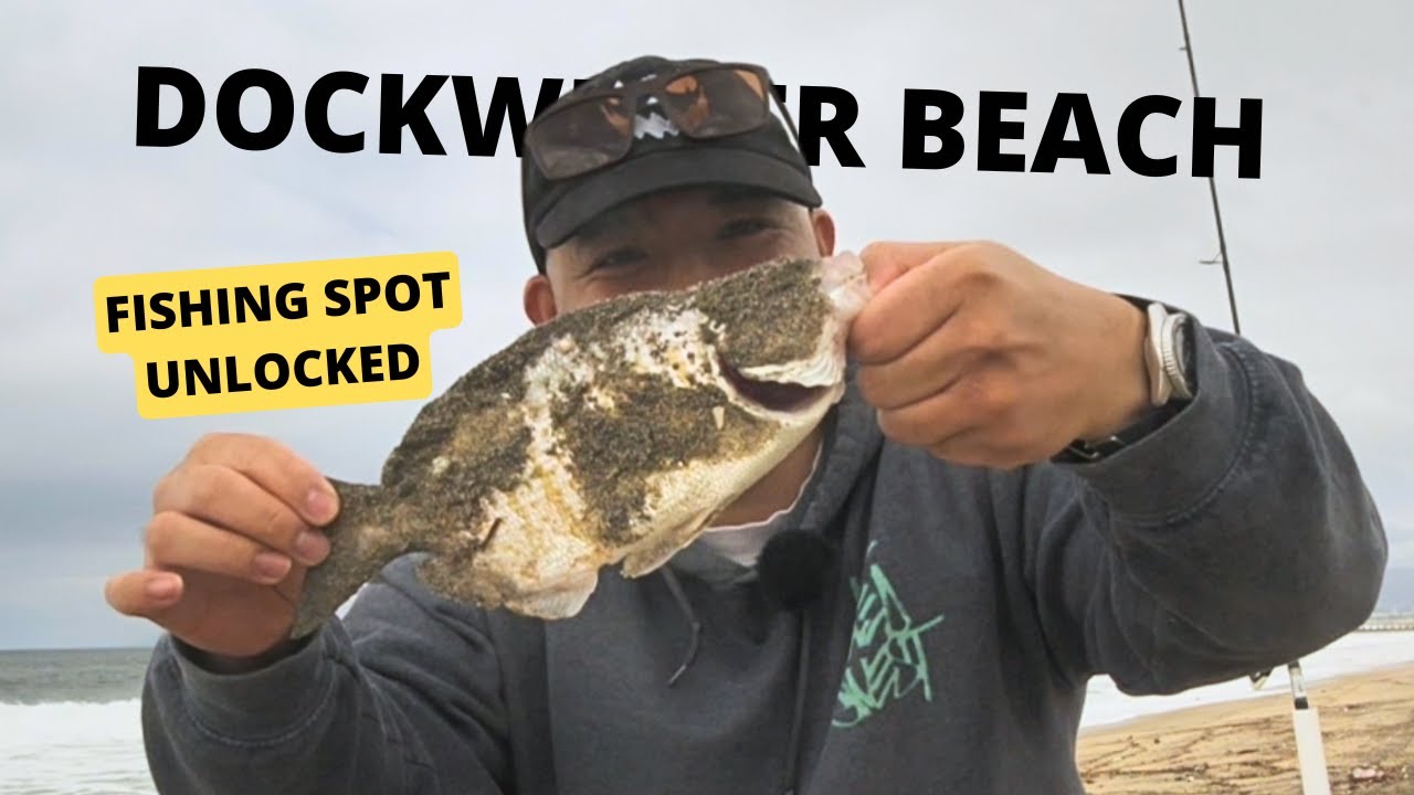 Top Fishing Spots Near Los Angles: Explore Dockweiler State Beach
