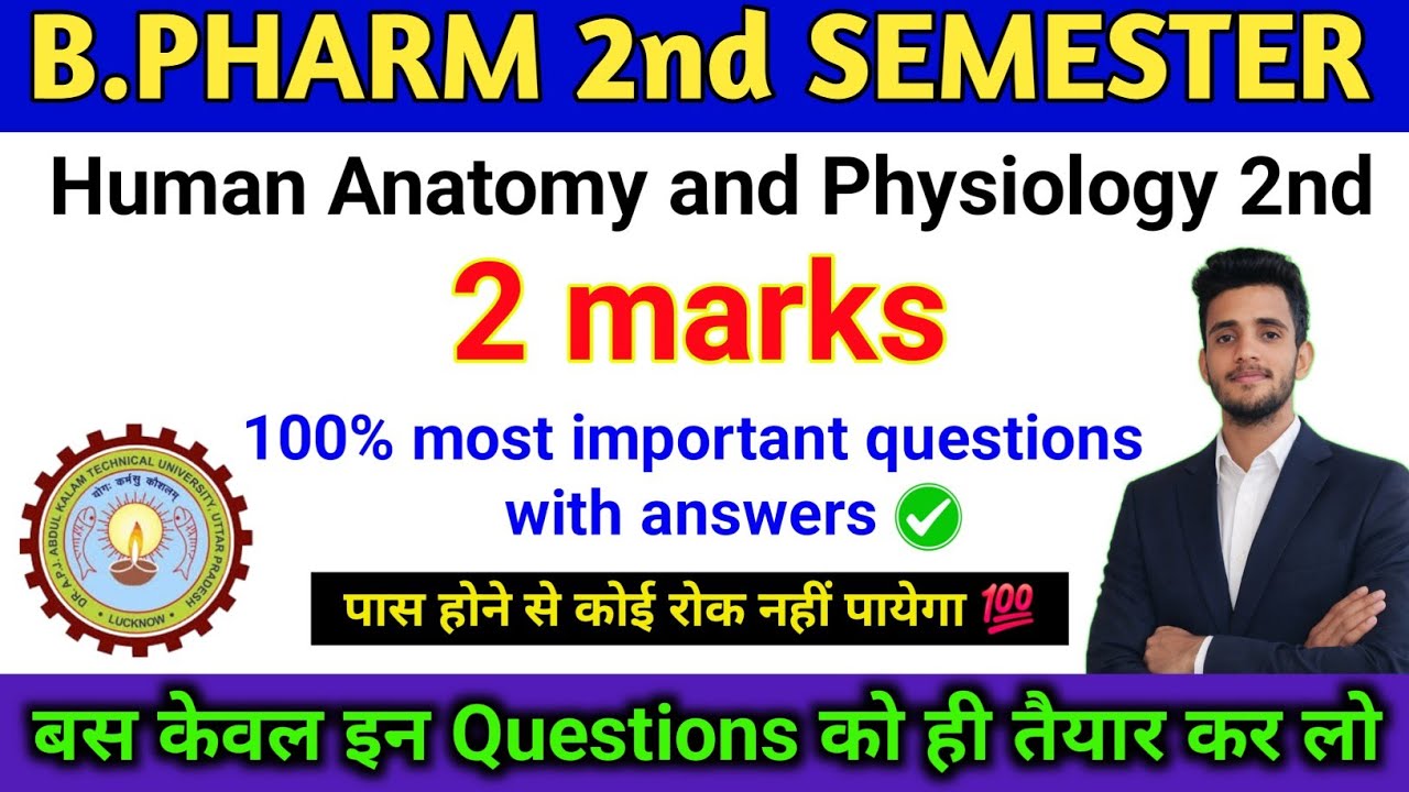 Human anatomy and physiology 2marks 2nd sem impotant questions answers | HAP 2nd sem impotant qs
