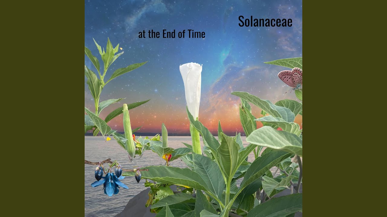 Watch Endless, formless on YouTube Watch Endless, formless on YouTube