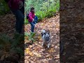 Bunker Ridge Trail to Striped Peak at Salt Creek Rec Area #shorts