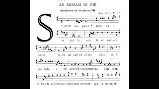 LIVESTREAM Assumption Office of Readings Daytime Prayer Chat