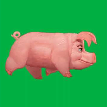 Mentahan Green Screen Animasi Babi 🐷 ❗ #greenscreen #hewan #hewanlucu