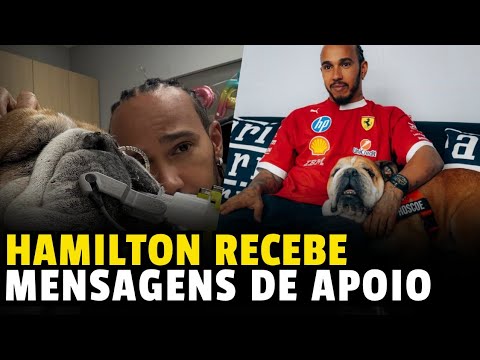 Lewis Hamilton Recebe Apoio Apos O Falecimento Do Roscoe | Formula 1