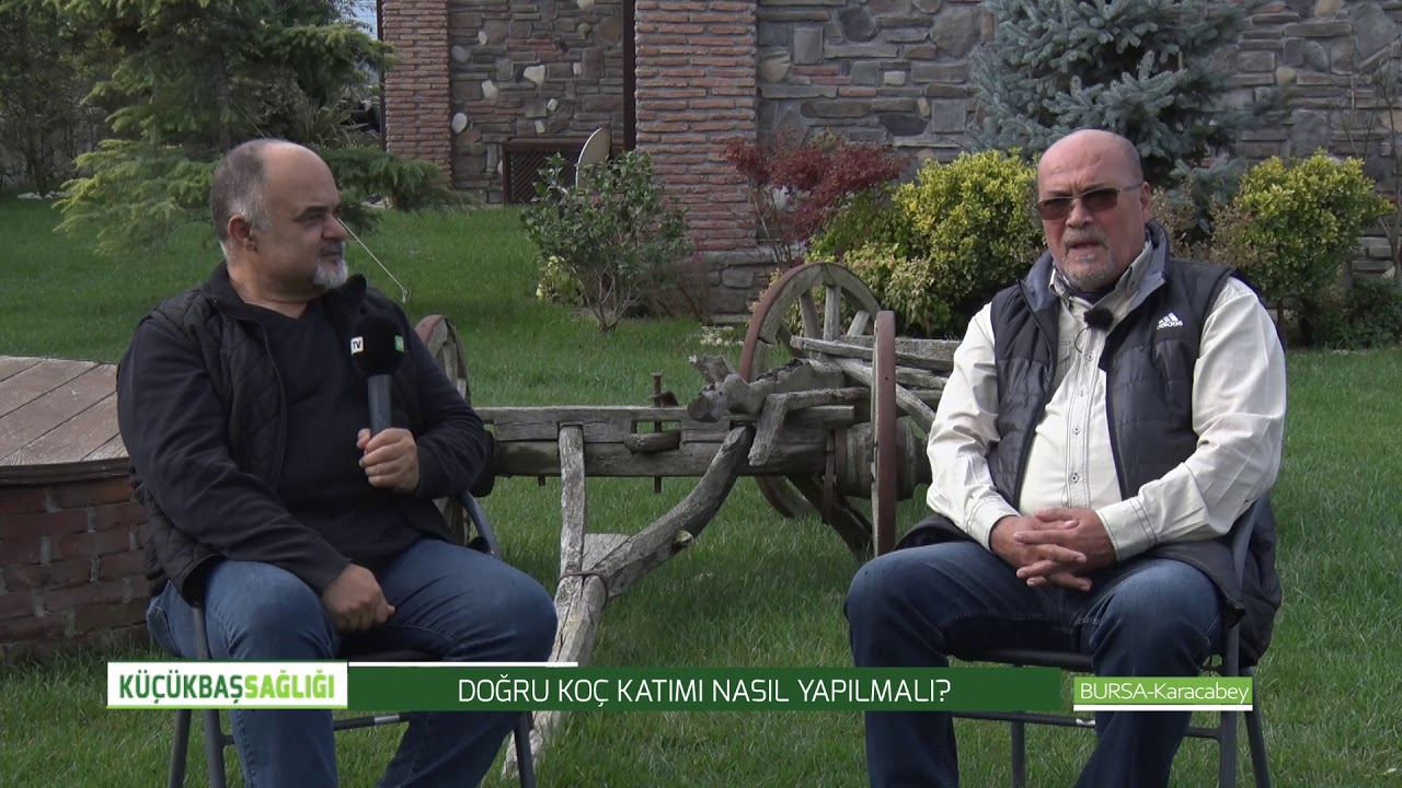 EROL ARSLANLA KÜÇÜKBAŞ SAĞLIĞI | FLUSHING NEDİR, NASIL UYGULANIR