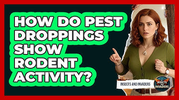 How Do Pest Droppings Show Rodent Activity? - Insects and Invaders