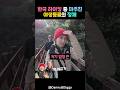 한국 하이킹 중 마주친 야생동물의 정체