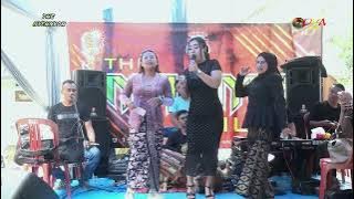 TAJAMNYA KARANG - IRMA NENOK // KOPLO THE NYEHNYOH