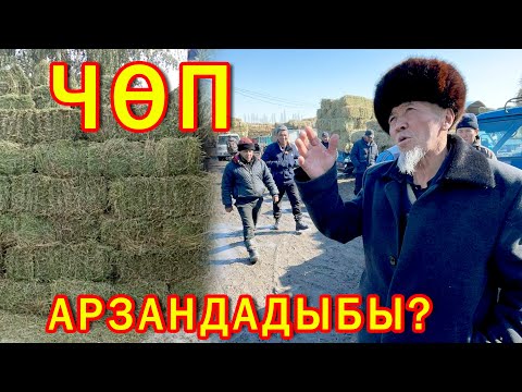 Video: Чөп чапкычтагы коопсуздук өчүргүчтү кантип айланып өтсө болот?