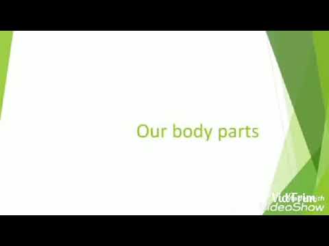 Our body parts - YouTube