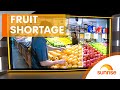 Christmas fruit shortage hits Australia | Sunrise