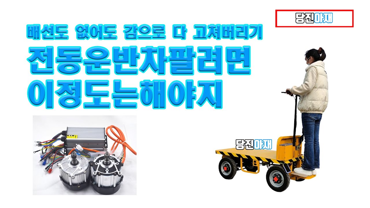 당진아재 전동운반차 수리 이정도는 해야지