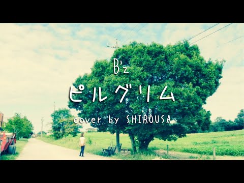 B’z「ピルグリム」弾き語り　 cover by SHIROUSA