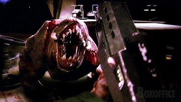 Doom Classic FPS POV Scene