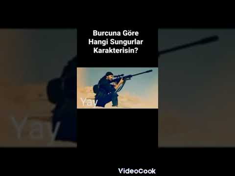 Burcuna Göre Hangi Sungurlar Karakterisin?