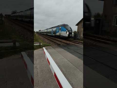 TRAIN FLUO GRAND EST FRANCE