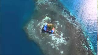 Bird Island aerial view