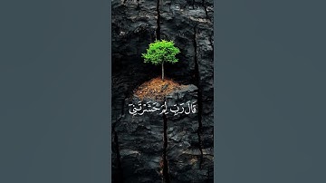 بسم الله الرحمن الرحيم القرآن الكريم #القرآن_الكريم #اكسبلور #المصحف #دويتو #duet #الرحمن #لايك