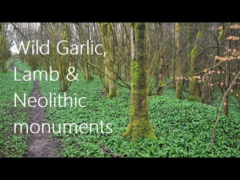 Wild Garlic & Lamb! Heritage Trail, Noelithic Monuments & Coed Nant Bran, Vale of Glamorgan, Wales