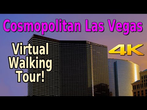 The best of Las Vegas 馃槼#shorts馃槼