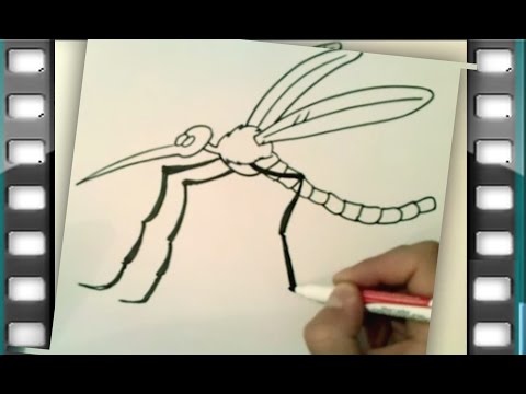 Vídeo: Como Desenhar Um Mosquito