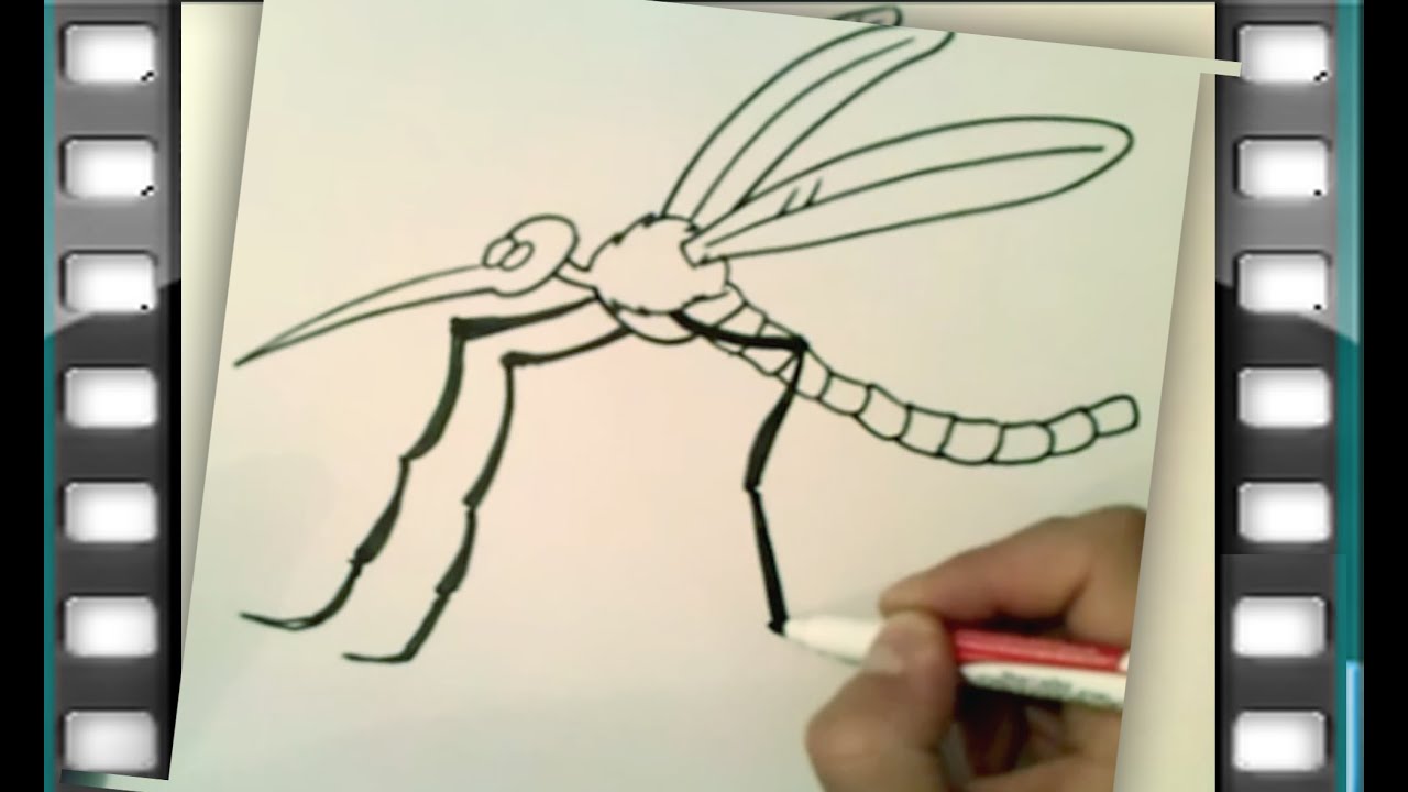 como desenhar um mosquito como desenhar um mosquito passo a passo