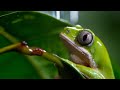A Perfect Planet: Extended Trailer | New David Attenborough Series | BBC Earth