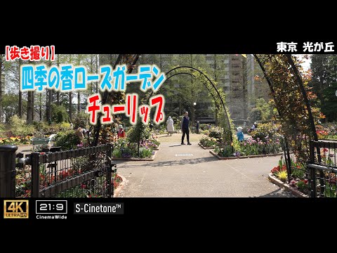 Japan Walking Video】 