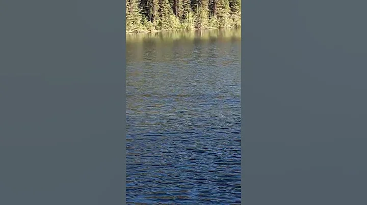 Lake Sylvia