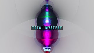 Terranoise - Total Mystery (2008 Unreleased)