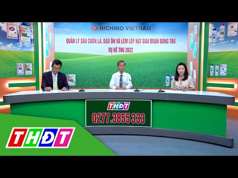 Video Quản lý sâu cuốn lá, đạo ôn, lem lép hạt giai đoạn... - youtube