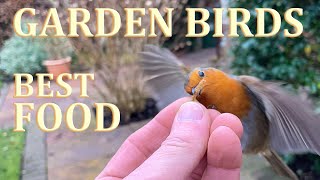 The Three BEST FOODS to Attract Birds to Your Garden