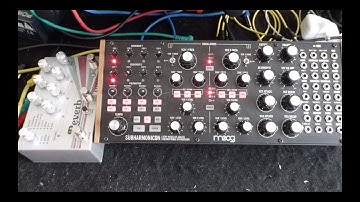 Moog Subharmonicon & Empress Effects Reverb