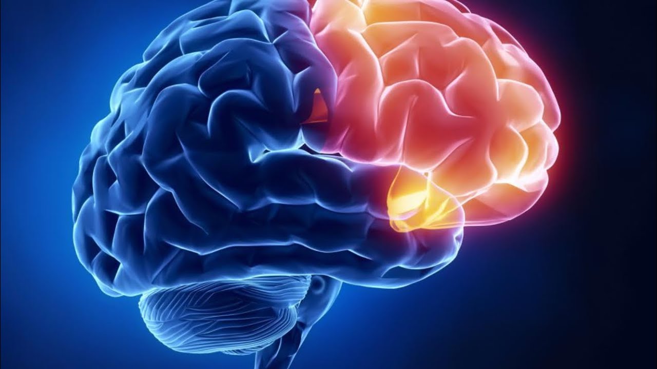 Frontal lobe damage part 2