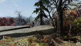 Fallout76 But The Whole Game Is Bugged