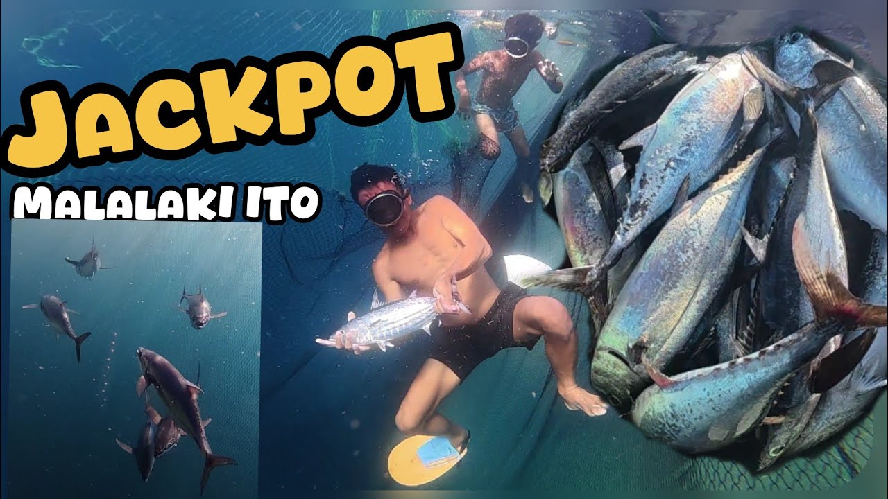 BANYERANG ISDA NANAMAN JACKPOT @JaperSniperOfficial @mhaysantosvlogkasangga06 @LouieTVLouieTV