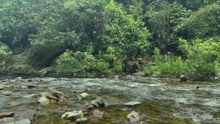 Go to Sleep Faster with River Sounds  Relaxing Nature Sounds for Insomnia Symptoms