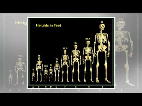 Video: The Smithsonian Institution Destroyed Thousands Of Giant Human Remains - Alternative View