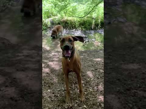 Dieser Blick nach 15sec :-D