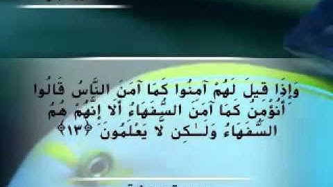 Moustafa Haredy  El Baqarah Ayah 11-13 | مصطفى هريدى - سورة البقرة - من أية 11 -13