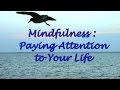 Mindfulness: Paying Attention to Your Life