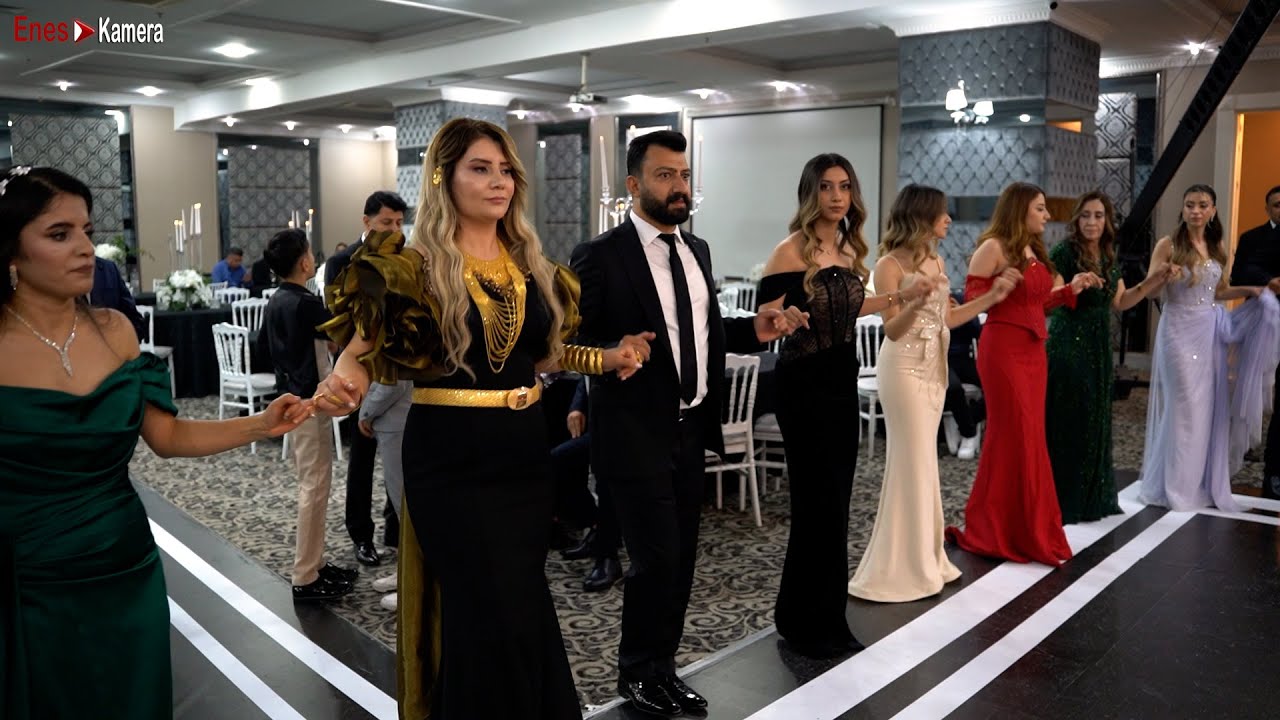 Arda Evin - Grani 2026 (New)