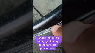 Обряду прийшла жопа, добре що в дорозi не розсипався